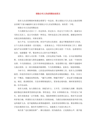 保险公司人员试用期总结范文 
