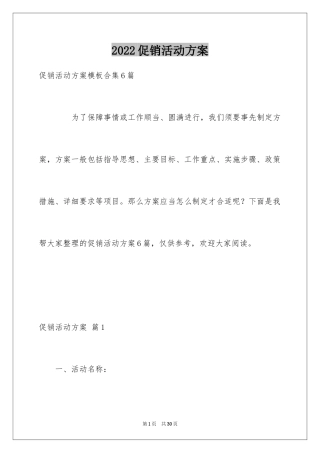 2024促销活动方案_222