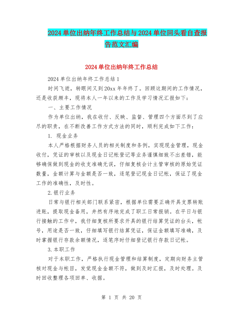 2024单位出纳年终工作总结与2024单位回头看自查报告范文汇编_第1页