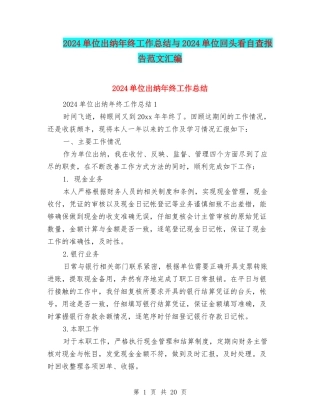 2024单位出纳年终工作总结与2024单位回头看自查报告范文汇编
