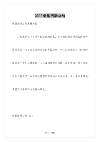 2024促销活动总结_33