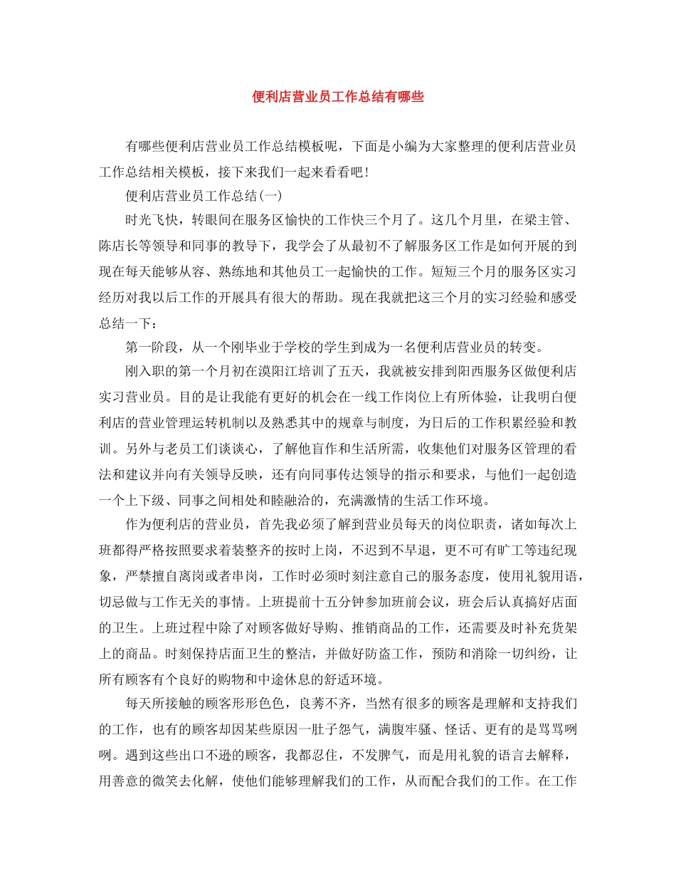 便利店营业员工作总结有哪些 _第1页