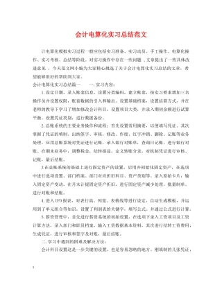 会计电算化实习总结范文 