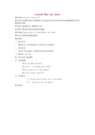 四年级英语下册 Lesson5 What are these（第4课时）教案 科普版-人教版小学四年级下册英语教案