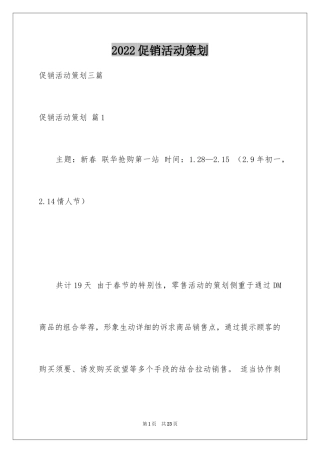 2024促销活动策划_4