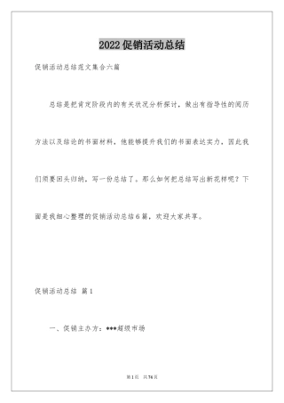 2024促销活动总结_38