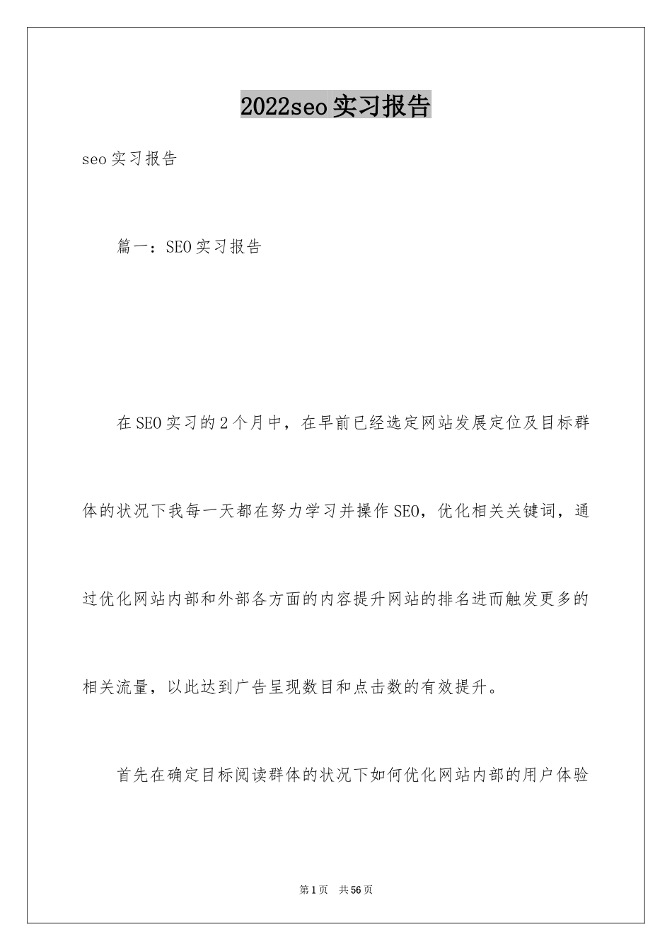 2024seo实习报告_第1页