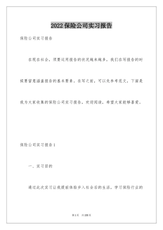 2024保险公司实习报告_2
