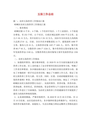 五保工作总结 