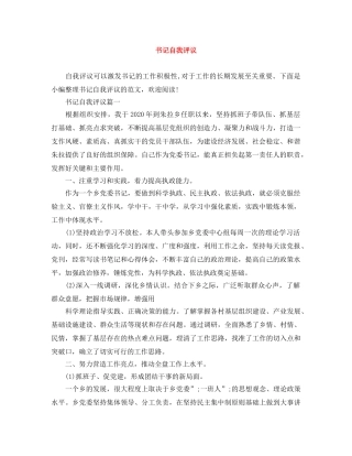 书记自我评议 