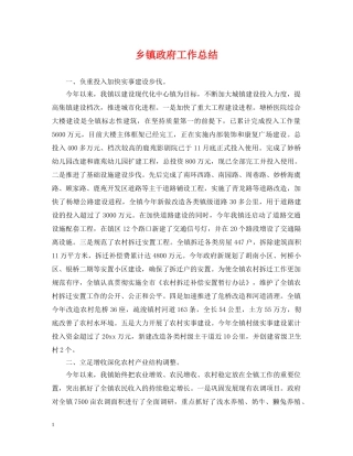 乡镇政府工作总结 
