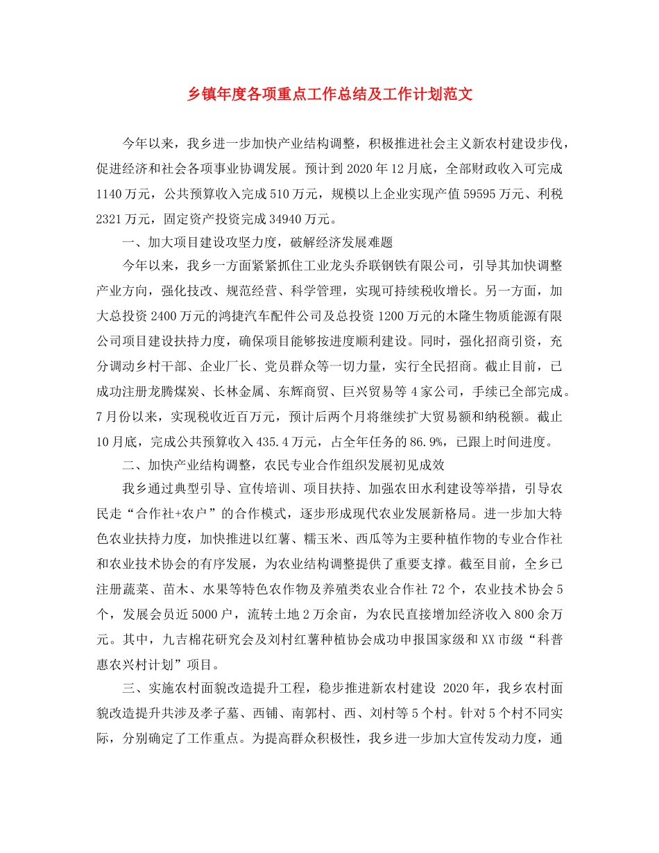乡镇年度各项重点工作总结及工作计划范文 _第1页