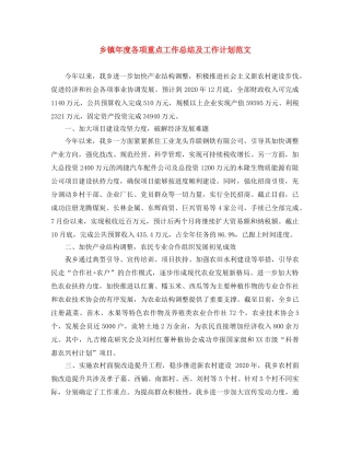 乡镇年度各项重点工作总结及工作计划范文 