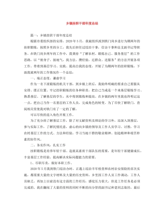 乡镇挂职干部年度总结 