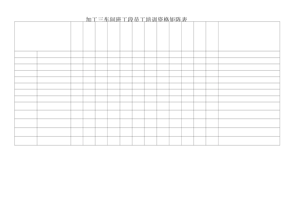 员工培训矩阵图_第3页