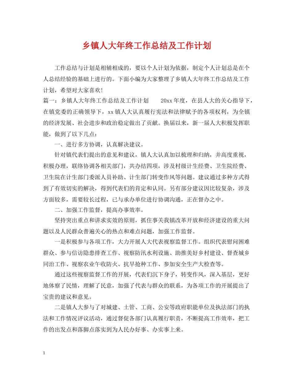乡镇人大年终工作总结及工作计划 _第1页