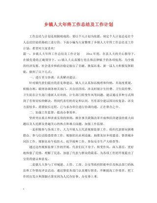 乡镇人大年终工作总结及工作计划 