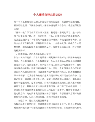 个人廉洁自律总结2020 