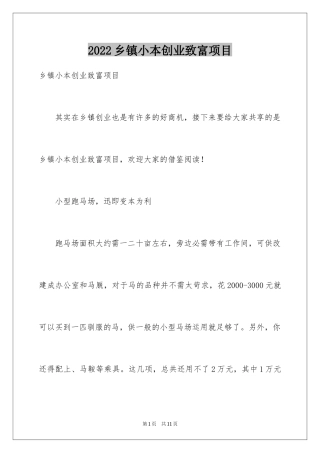 2024乡镇小本创业致富项目