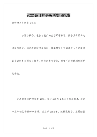 2024会计师事务所实习报告_12