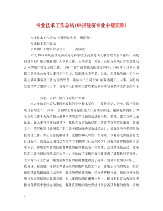 专业技术工作总结(申报经济专业中级职称) 