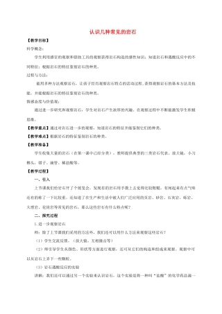 四年级科学下册 认识几种常见的岩石教案 教科版