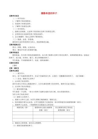 四年级科学下册 第1单元 植物的一生 1.1 播撒希望的种子教案 （新版）湘科版-人教版小学四年级下册自然科学教案