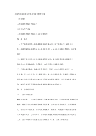 上海阳晨投资股份有限公司会计核算制度