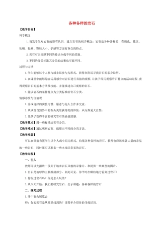 四年级科学下册 各种各样的岩石教案 教科版