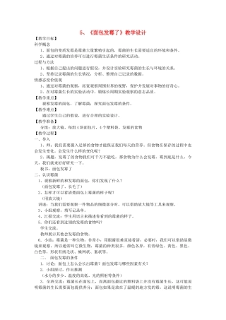 四年级科学下册 3.5《面包发霉了》教案 教科版-教科版小学四年级下册自然科学教案