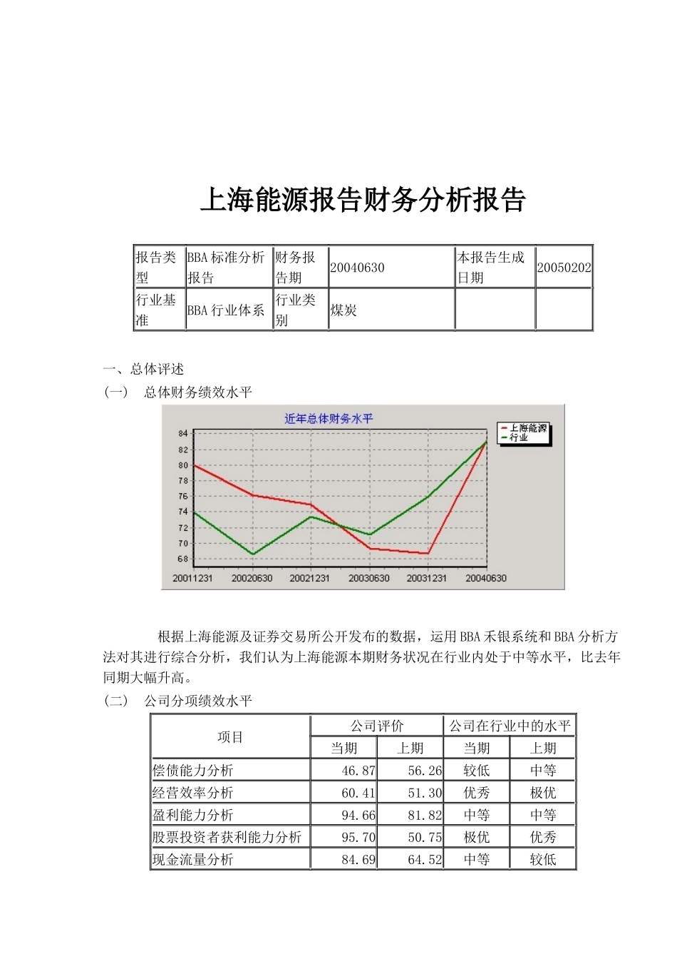 上海能源报告财务分析报告_第1页
