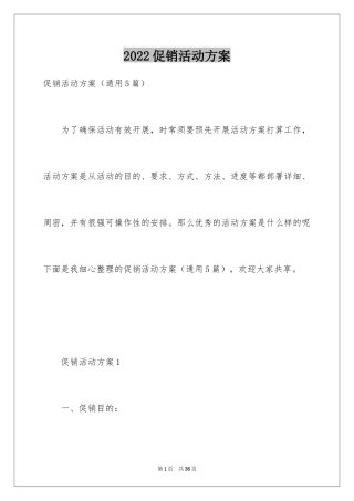2024促销活动方案_286