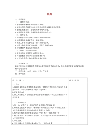四年级科学下册 1.3肌肉教案1 苏教版-苏教版小学四年级下册自然科学教案