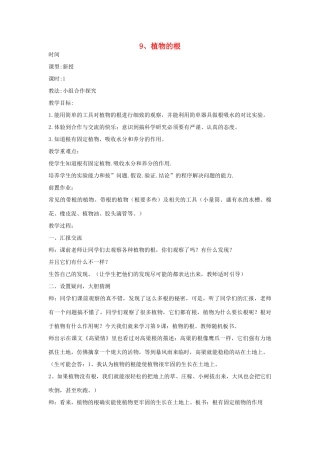 四年级科学上册 第三单元 植物的生活 9 植物的根教案 青岛版六三制-青岛版小学四年级上册自然科学教案