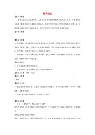 四年级科学上册 第一单元 植物的生活 4植物的茎教案 青岛版五四制-青岛版小学四年级上册自然科学教案