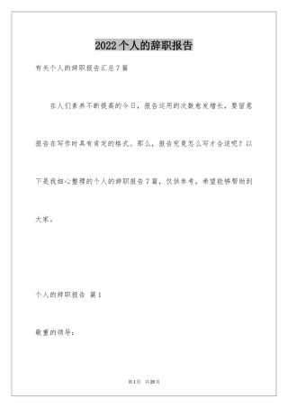 2024个人的辞职报告_195