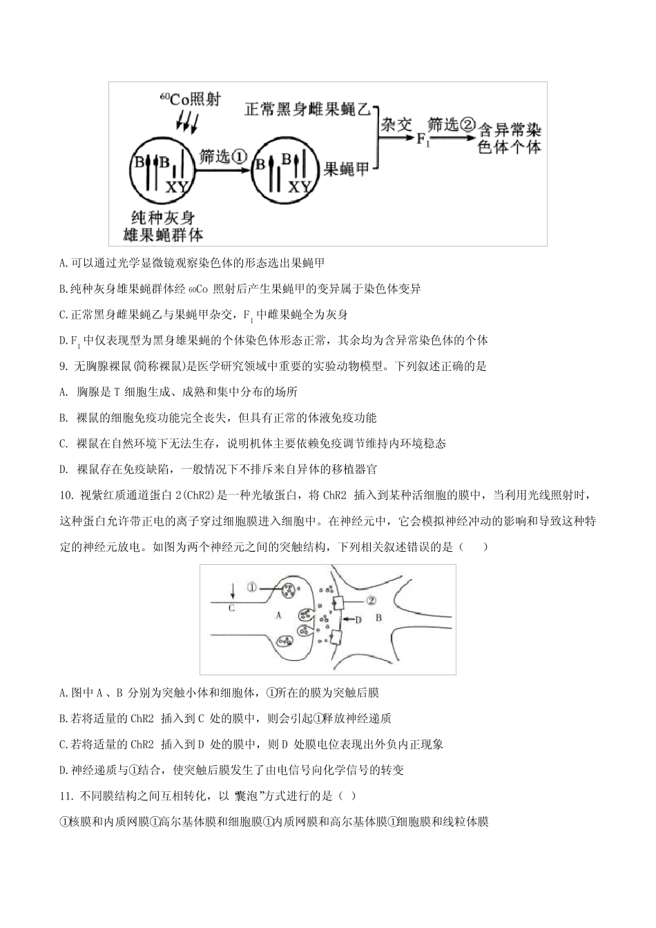 2021届乳山市夏村镇高级中学高三生物下学期期末试题及答案解析_第3页