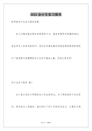 2024会计生实习报告_39