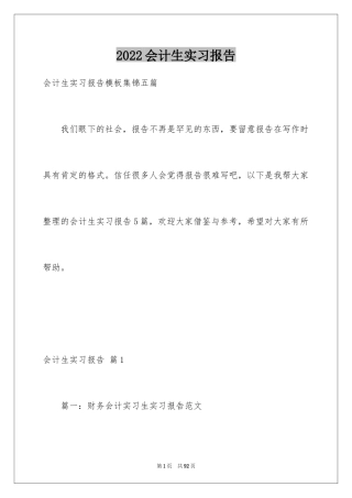 2024会计生实习报告_23