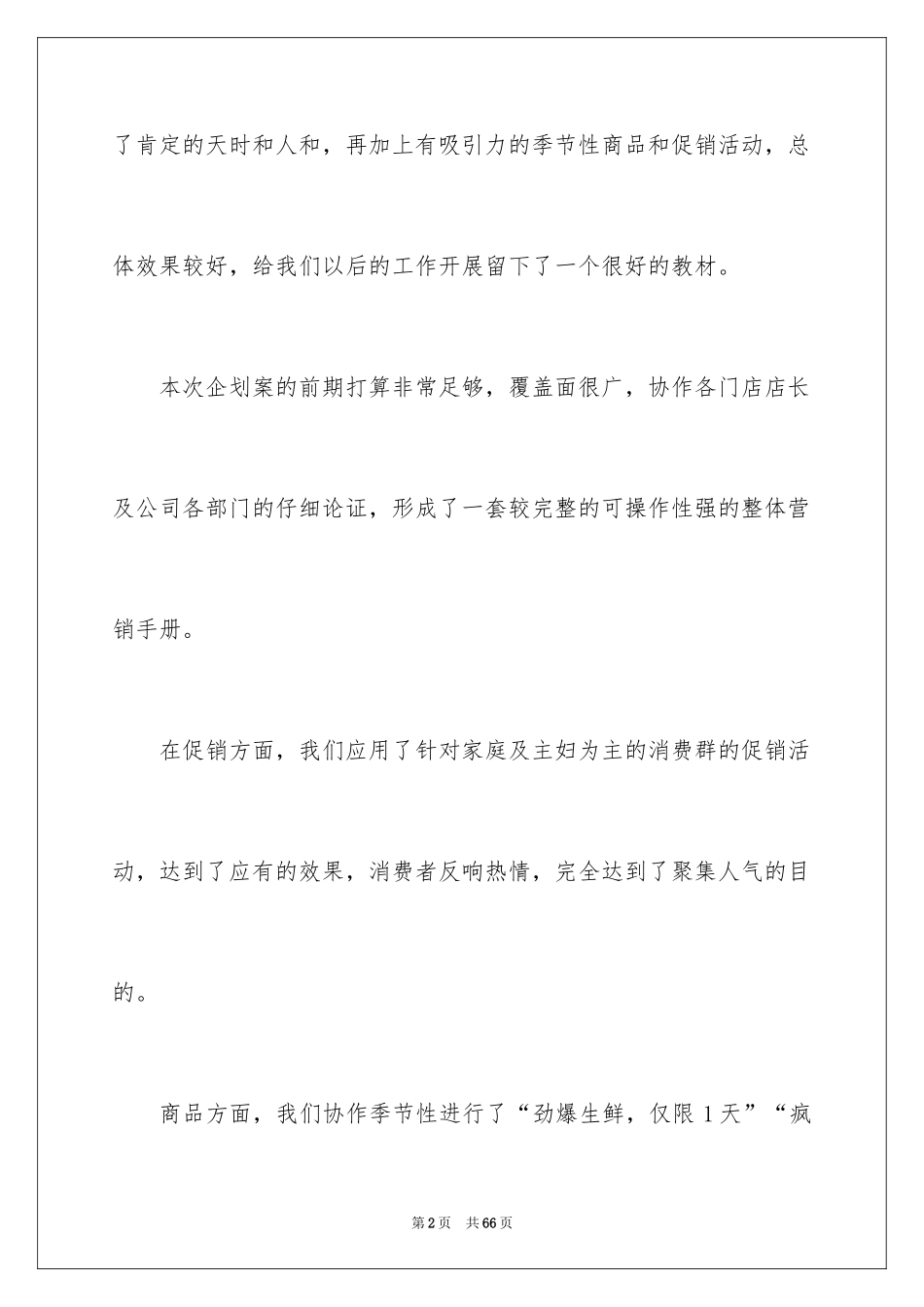 2024促销活动总结_81_第2页