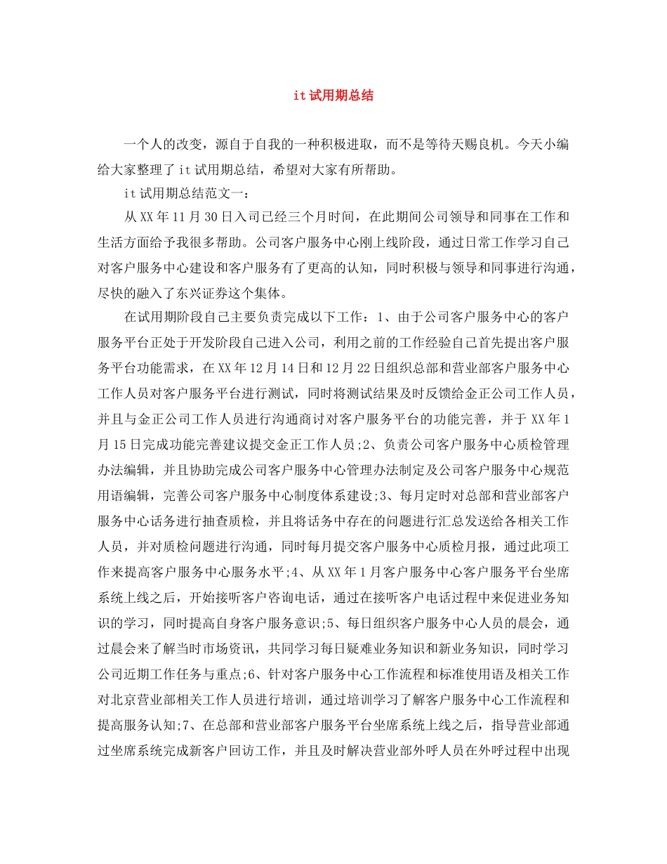 it试用期总结 _第1页
