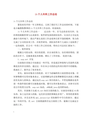 it个人年终工作总结 