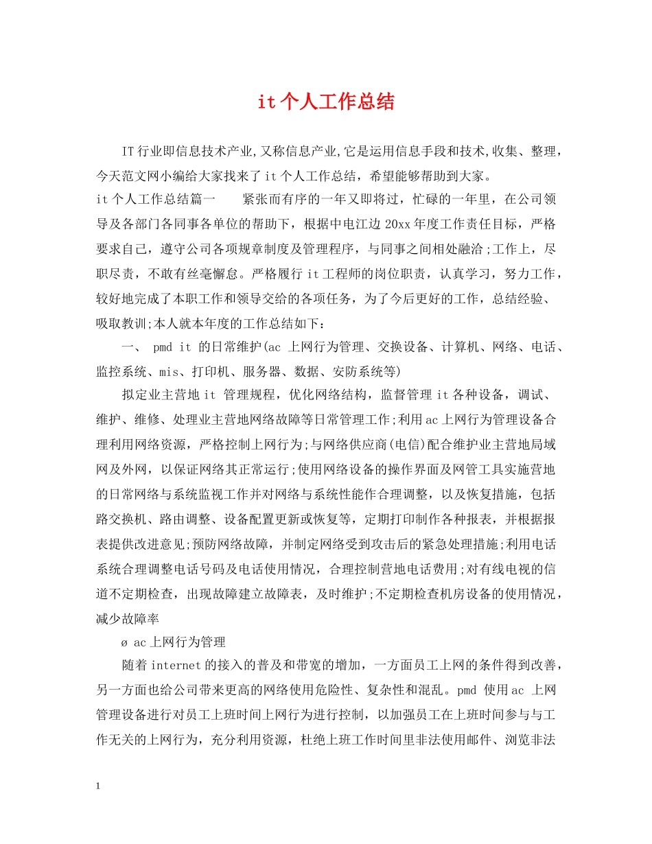 it个人工作总结 _第1页