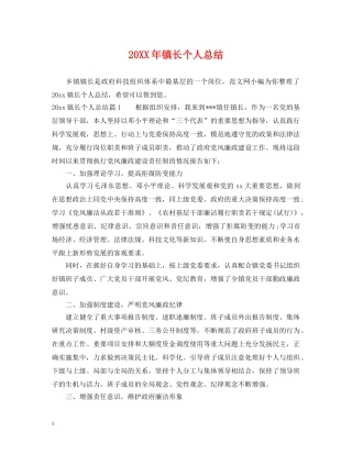 20XX年镇长个人总结 