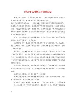 20XX年试用期工作自我总结 