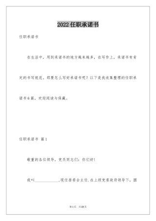 2024任职承诺书_13