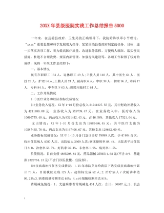 20XX年县级医院实践工作总结报告5000 