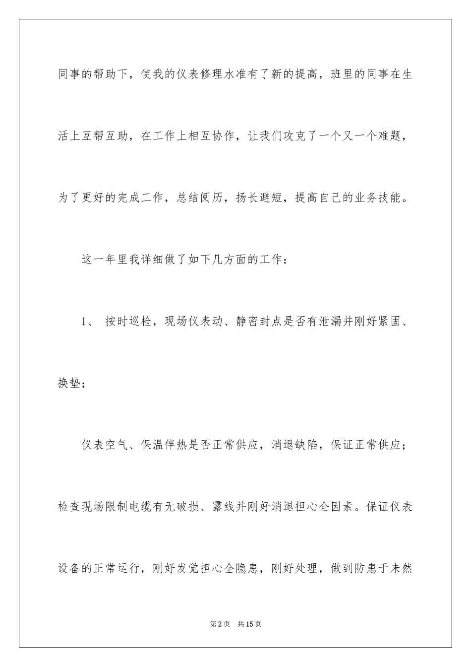 2024仪表年终总结_第2页