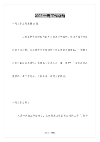 2024一周工作总结_29