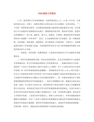 2020组织工作要点 